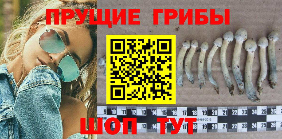 Кизляр  Псилоцибиновые грибы прущие грибы  Вход с VPN 