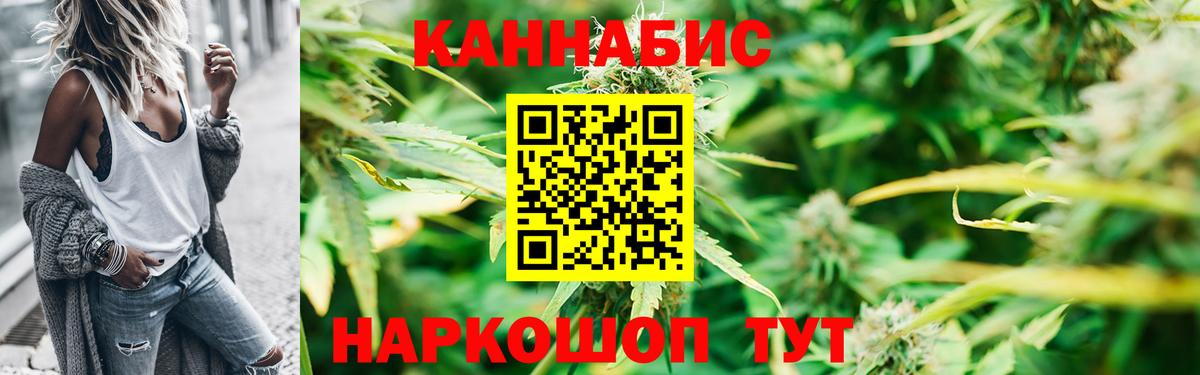 Каннабис сатива Кизляр